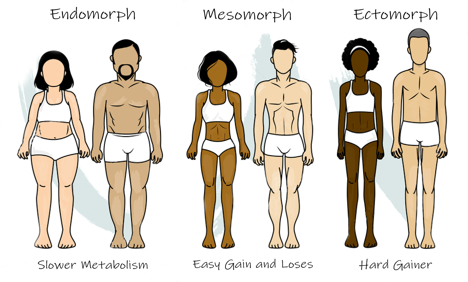 Endomorph, Mesomorph, Ectomorph Calculator  What is Your Body Type? —  Tiger Fitness
